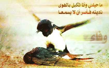 sobhan allah